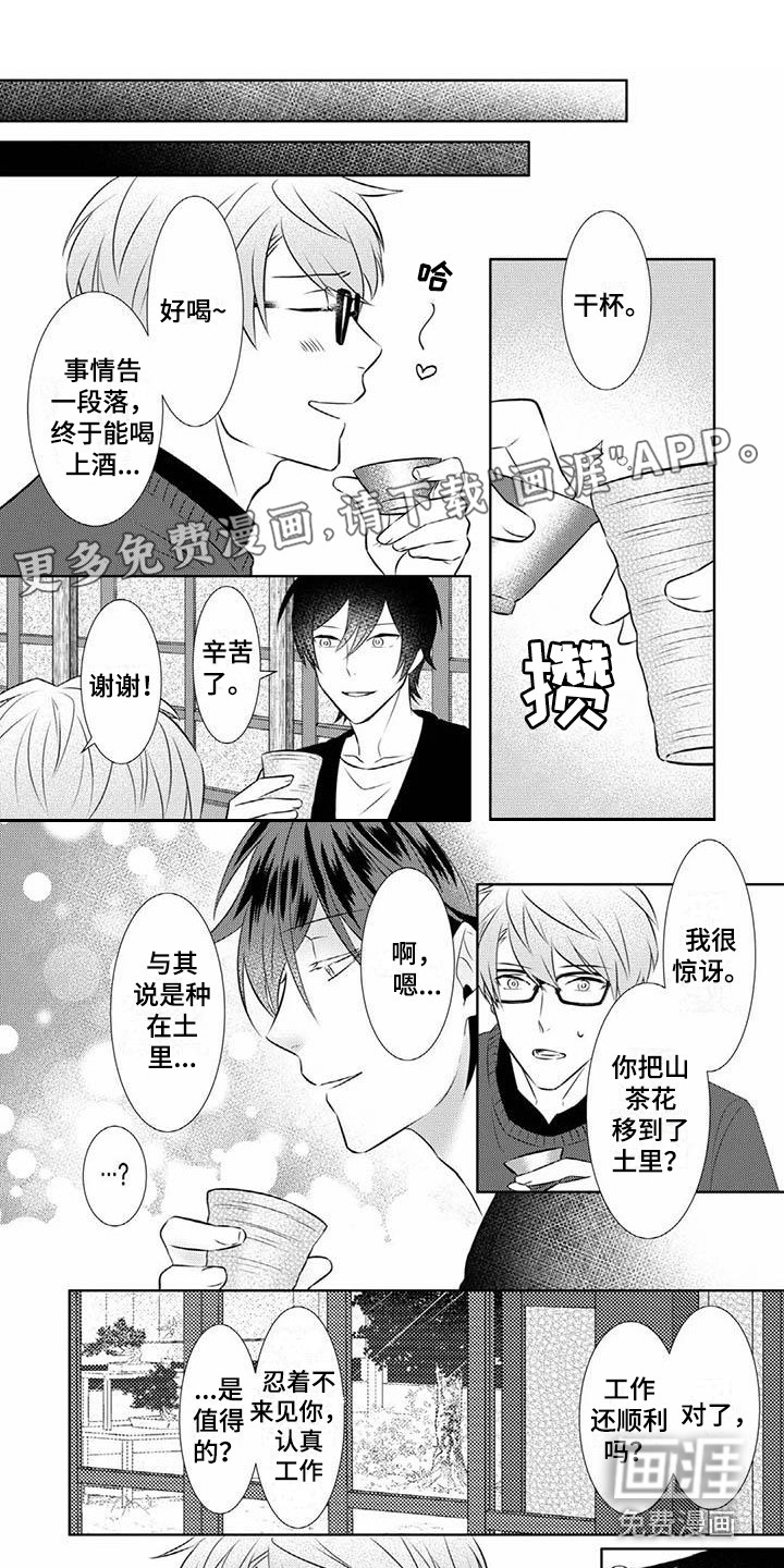 永远盛开(完结)