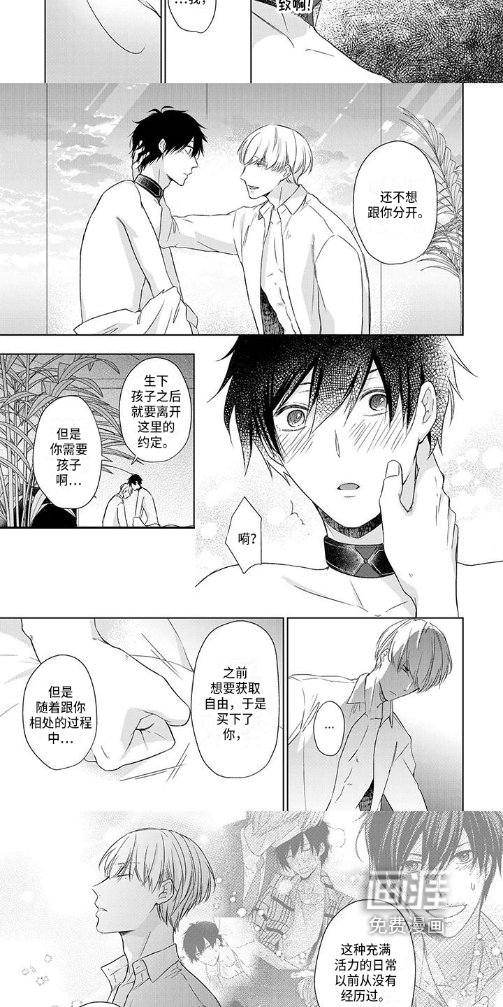 第17话：第17章：选择预览分镜