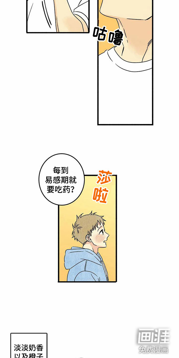 第6话：第6章：橙子香味预览分镜