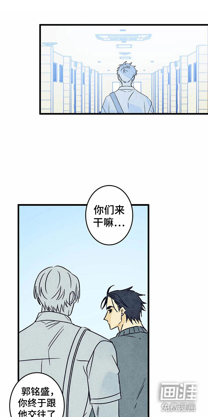 表白(完结)