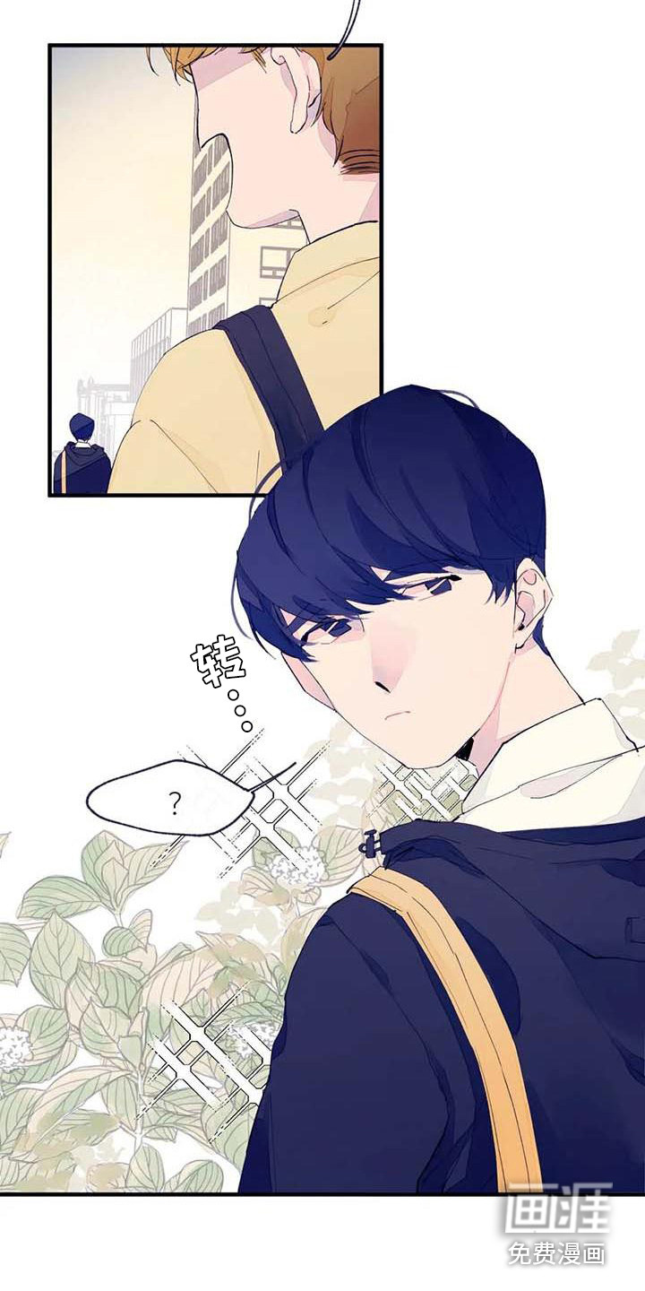 第7话：第7章：询问预览分镜