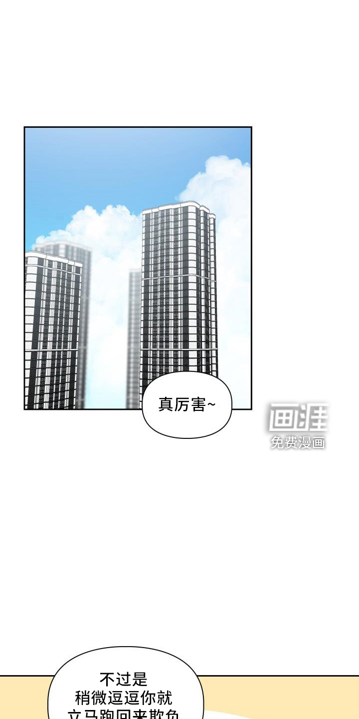 都喜欢(完结)