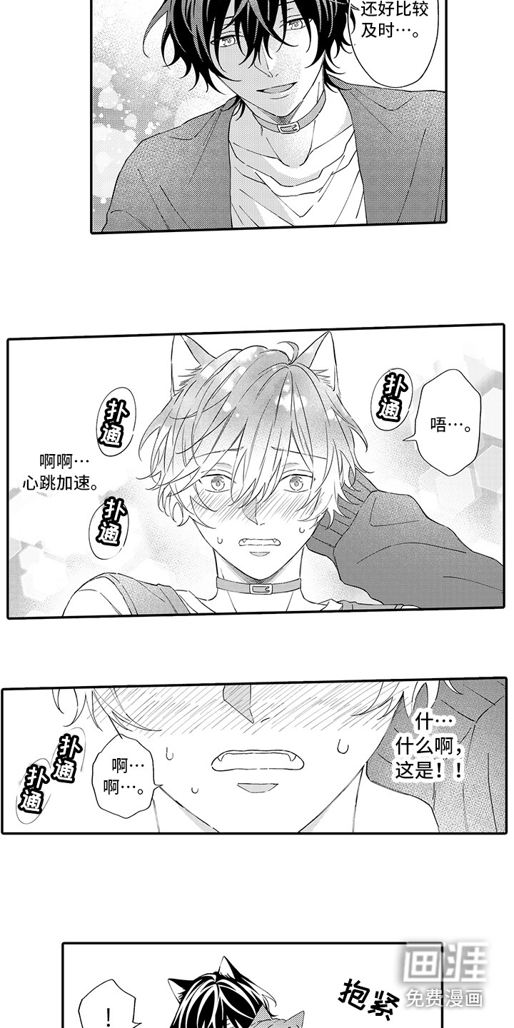 第9话：第9章：表白预览分镜