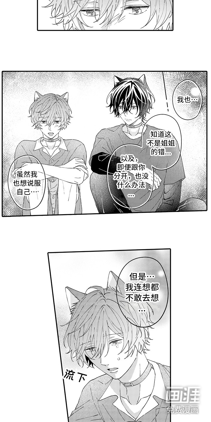 第14话：第14章：私奔预览分镜
