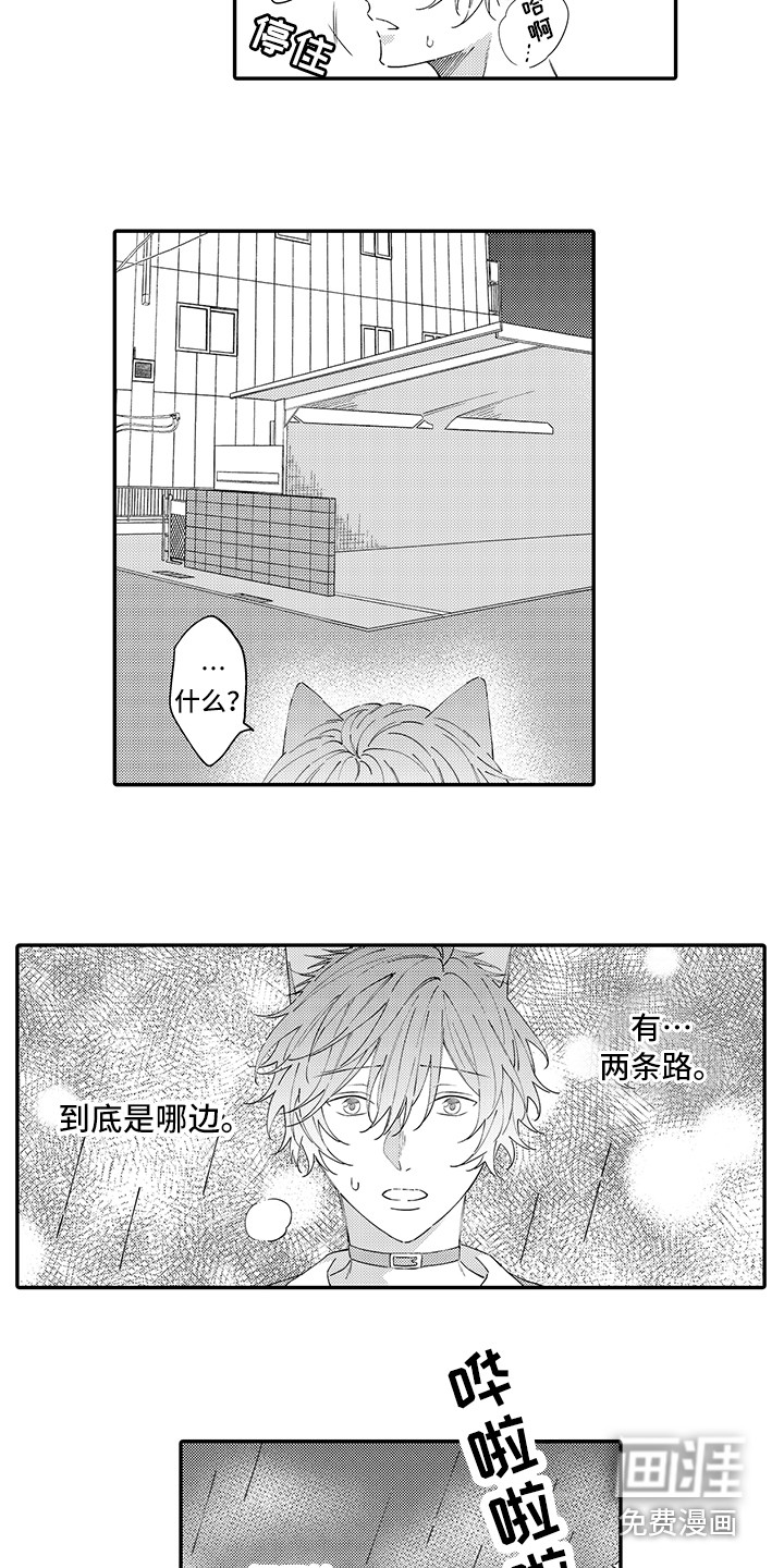 第17话：第17章：急切预览分镜