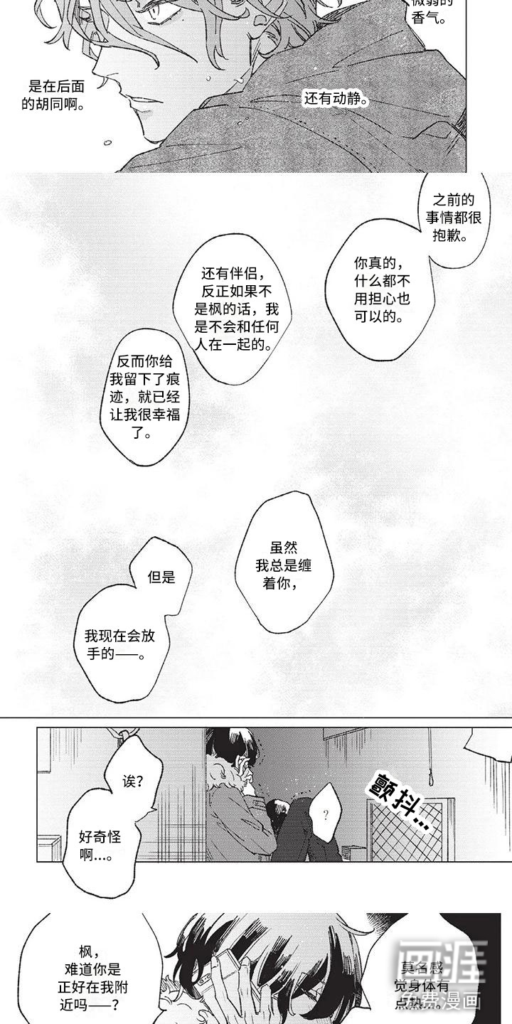 第12话：第12章：我没有你不行预览分镜