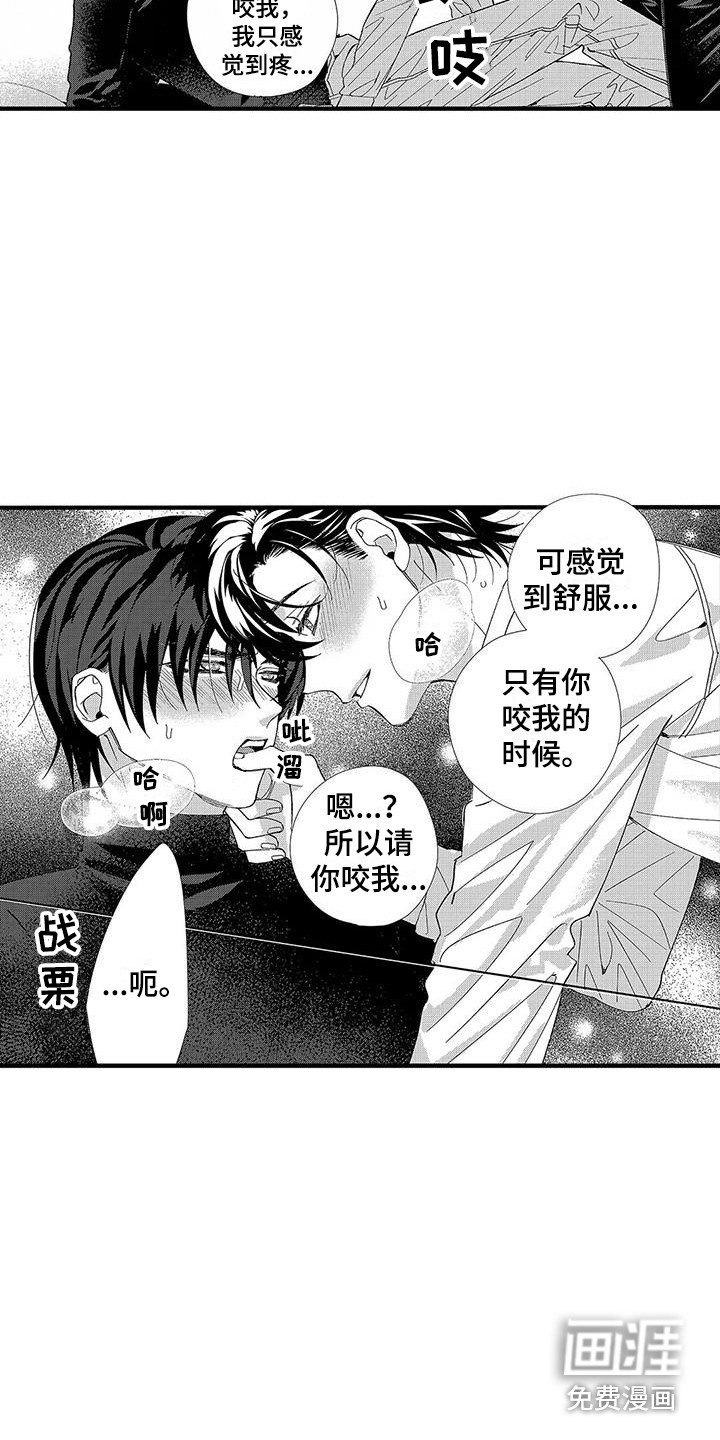 第4话：第4章：命令词预览分镜