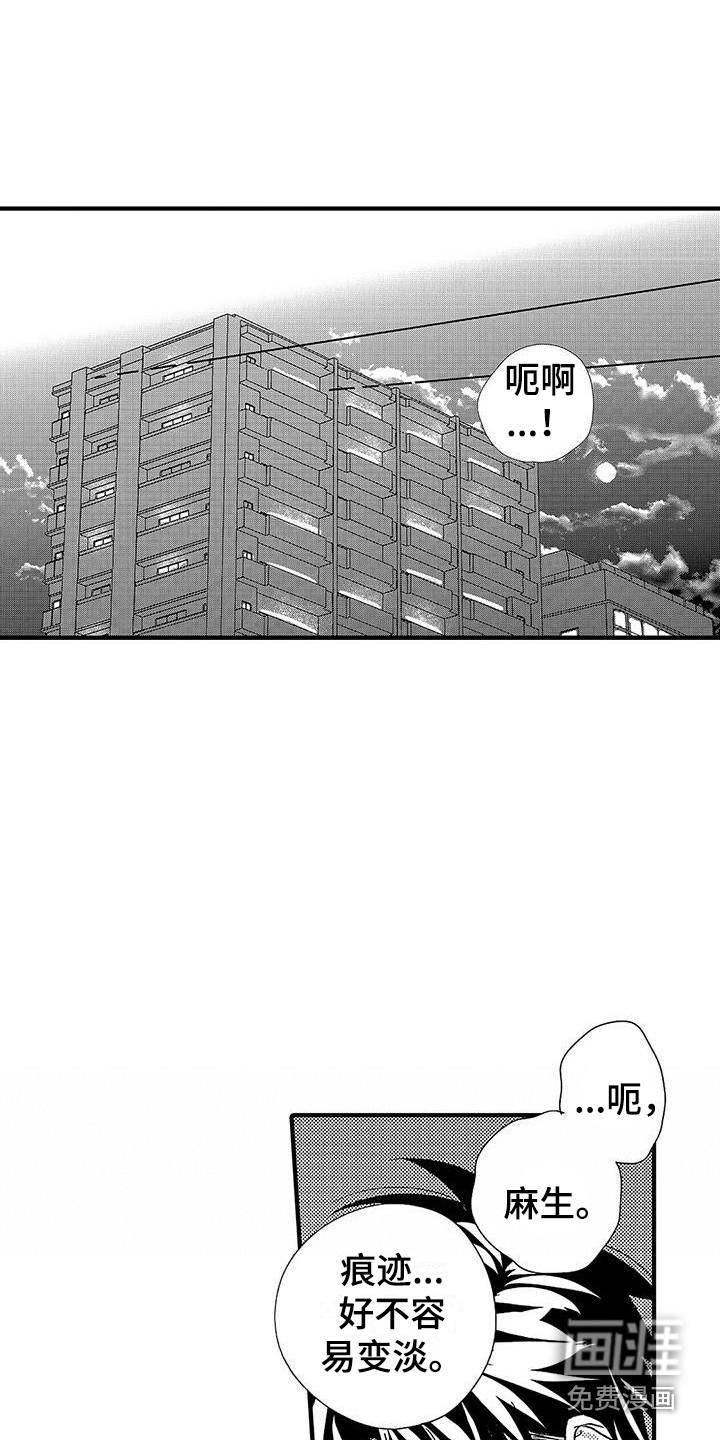 第12话：第12章：很开心预览分镜