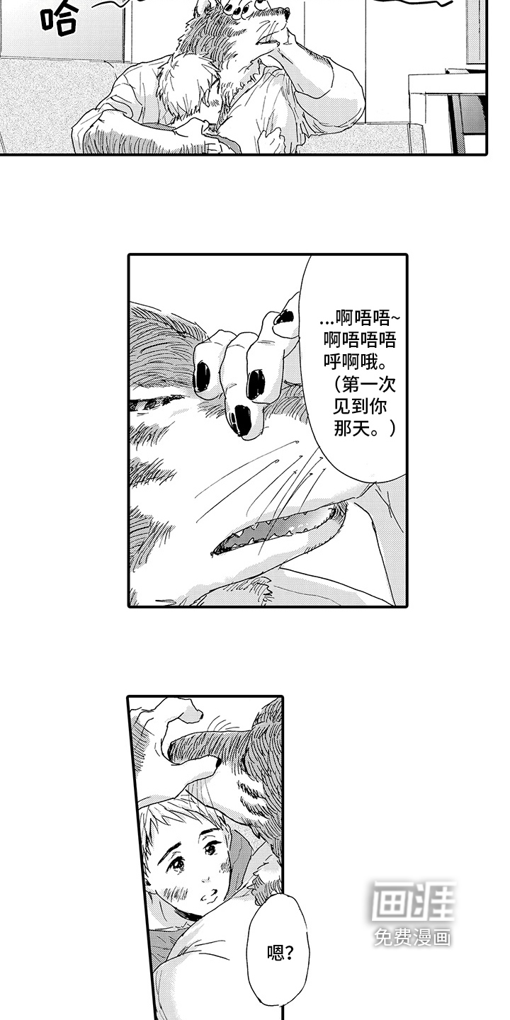 第8话：第8章：笑容【完结】预览分镜