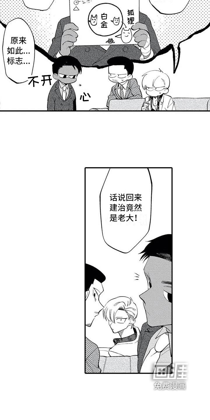 繁忙的开始【完结】