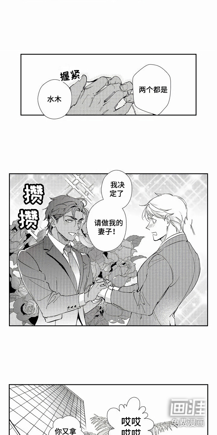 第6话：第6章：被求婚预览分镜