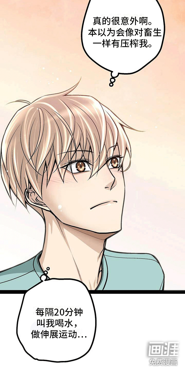 第16话：第16章：心律失常？预览分镜