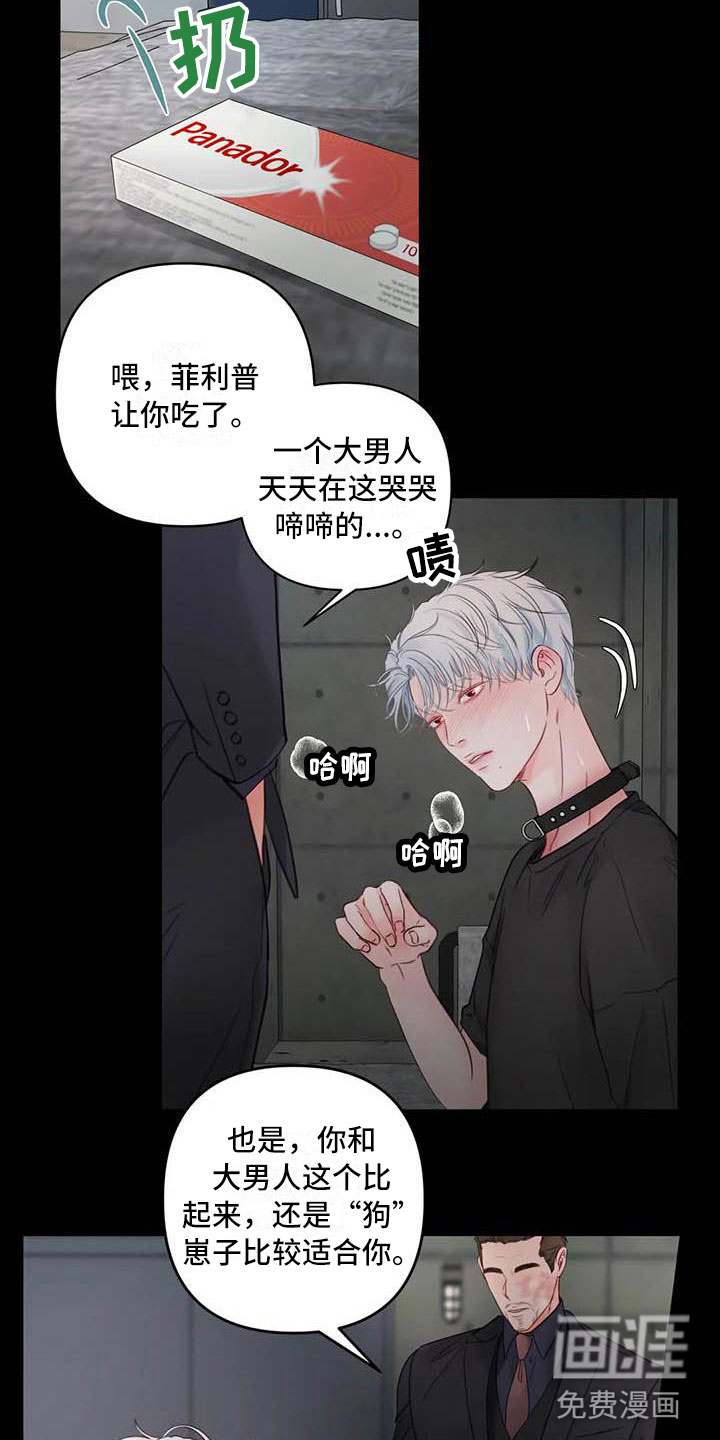 第18话：第18章：驯养：心爱的预览分镜