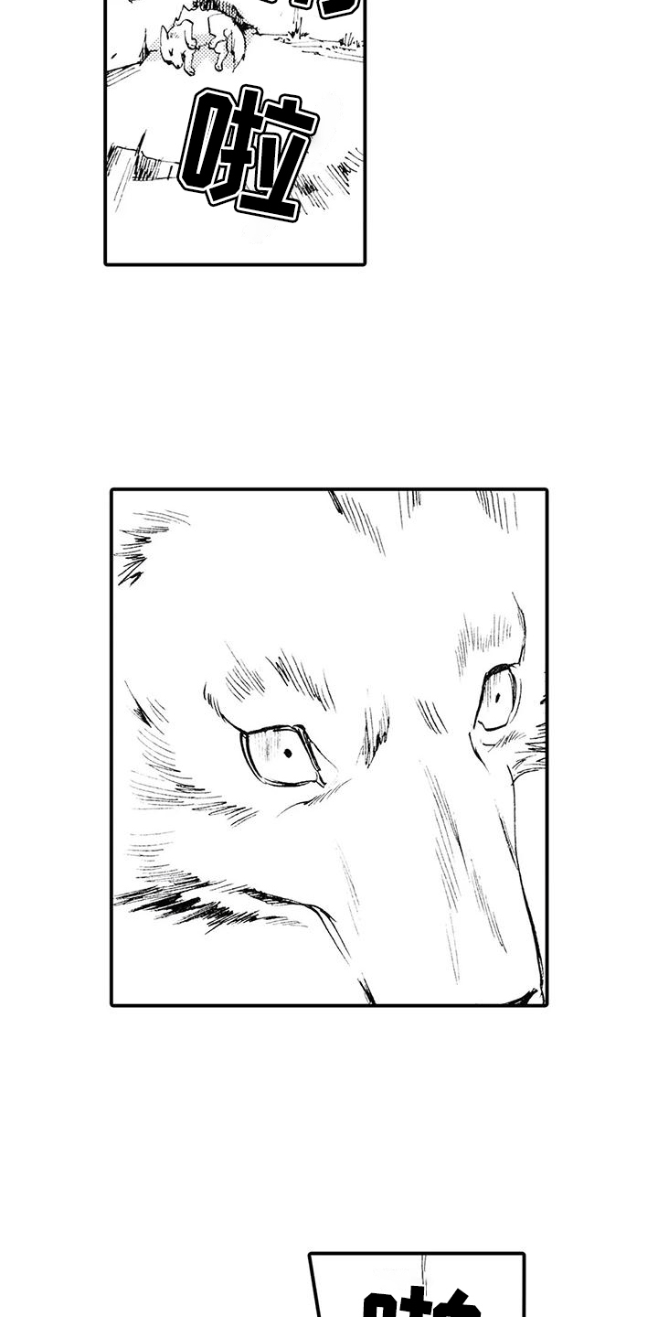 第3话：第3章：你能理解吧？预览分镜