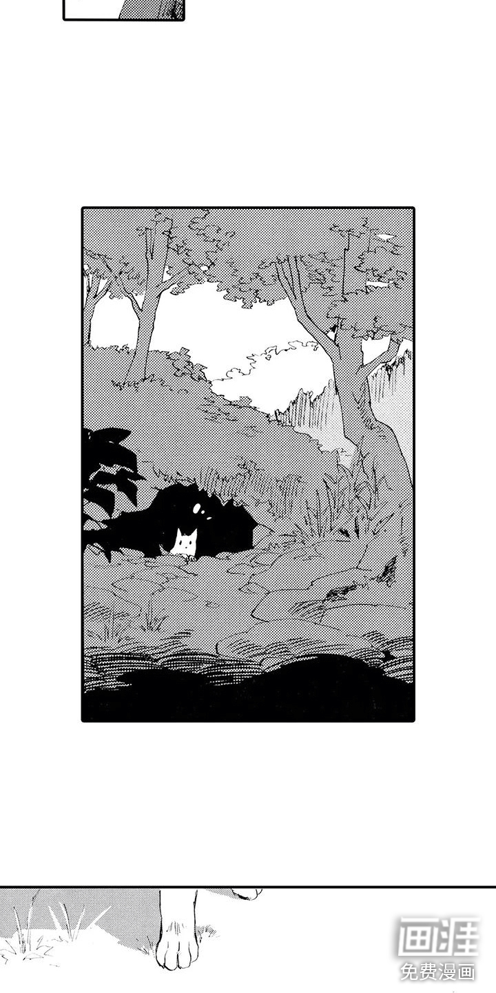 第11话：第11章：那个人在哪？预览分镜