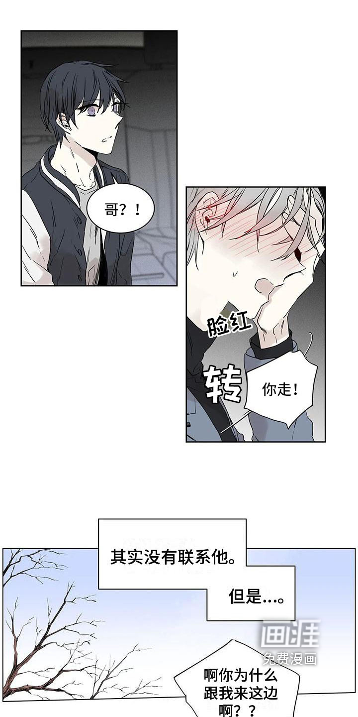 第12话：第12章：亲近预览分镜