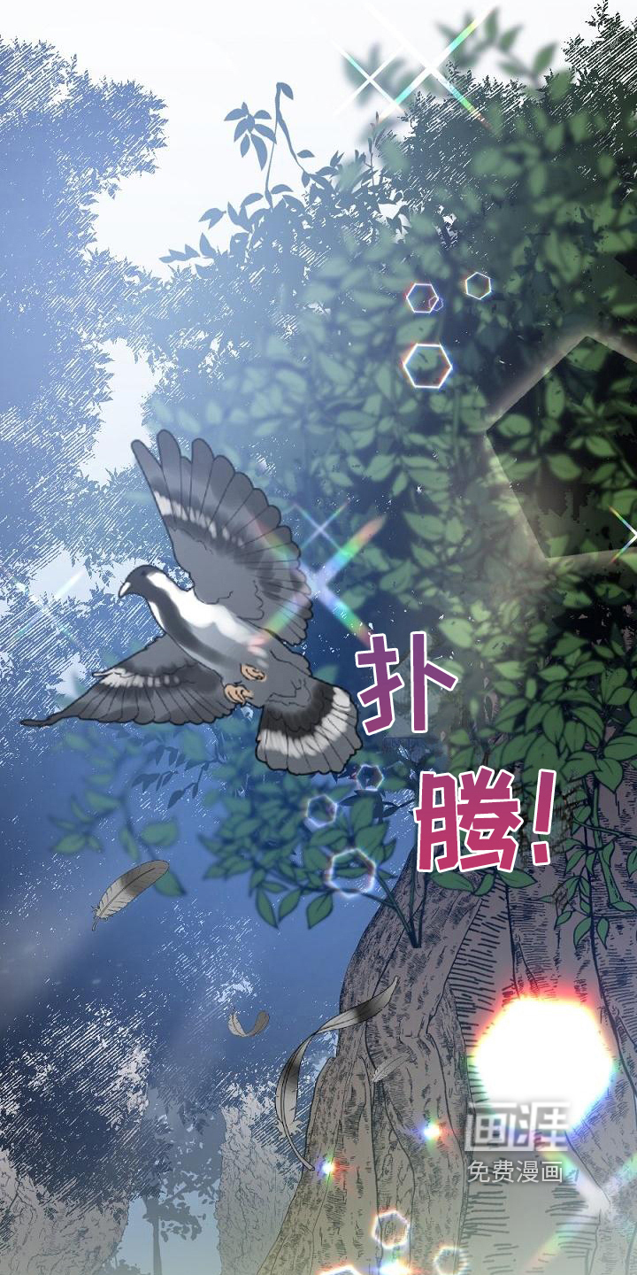 第14话：第14章：用什么报恩呢：山神预览分镜