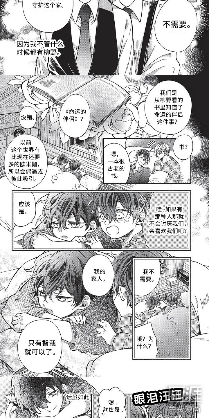 第13话：第13章：他们的故事预览分镜