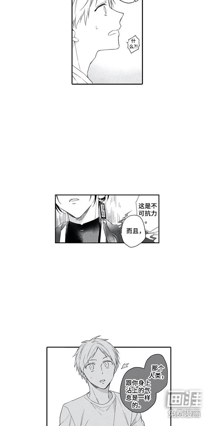 第14话：第14章：嫉妒心预览分镜