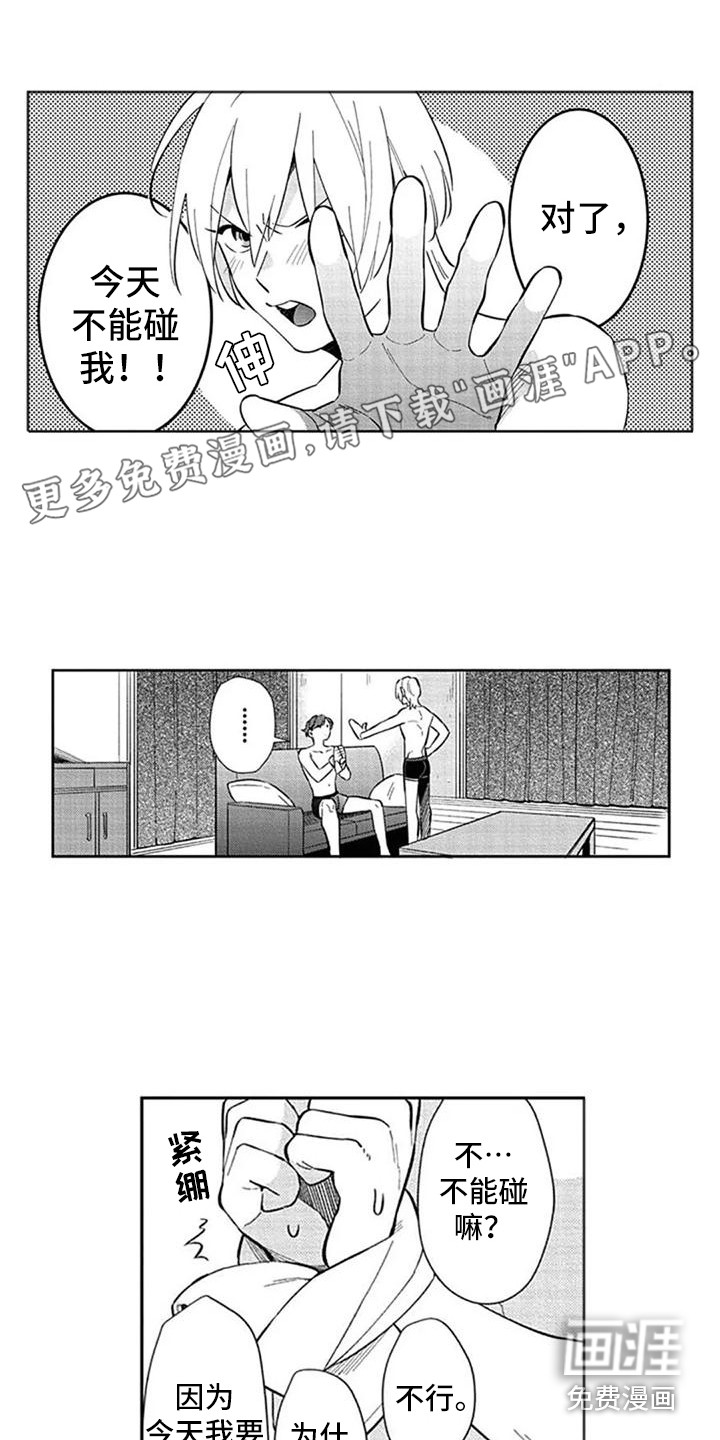 很迷人(完结)