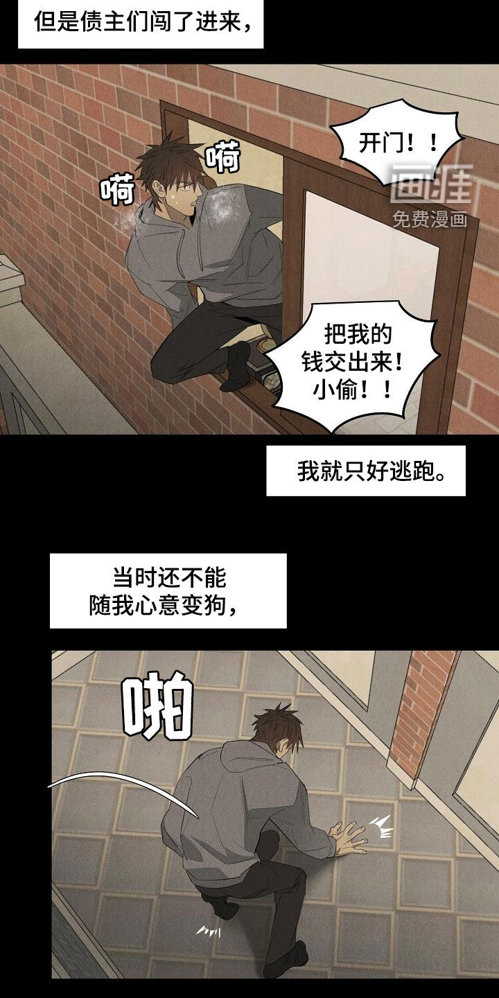 第14话：第14章：放松警惕预览分镜