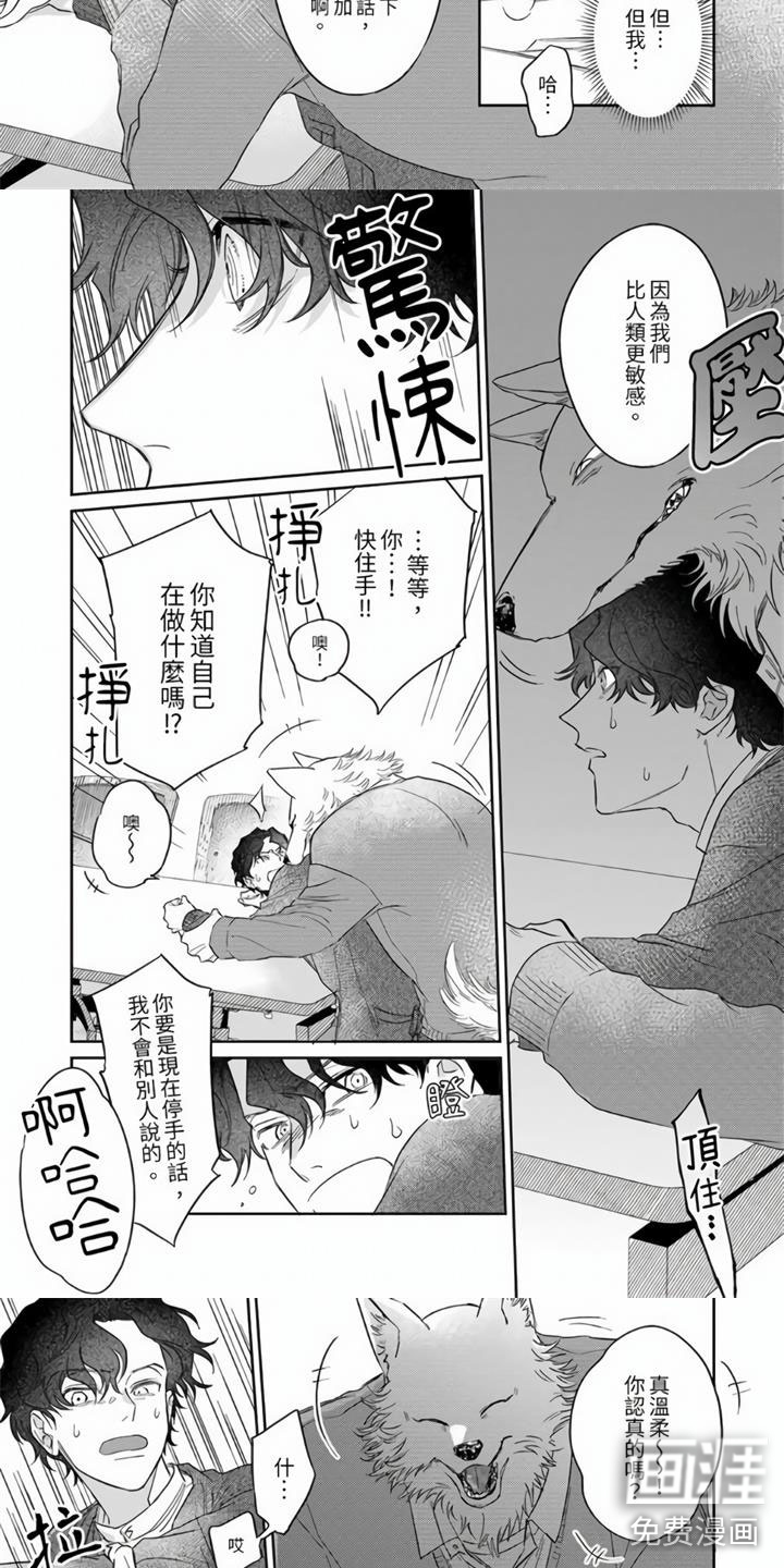 第11话：第11章：糟糕的学生预览分镜