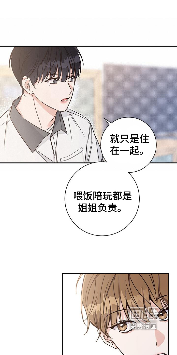 第16话：第16章：了解预览分镜