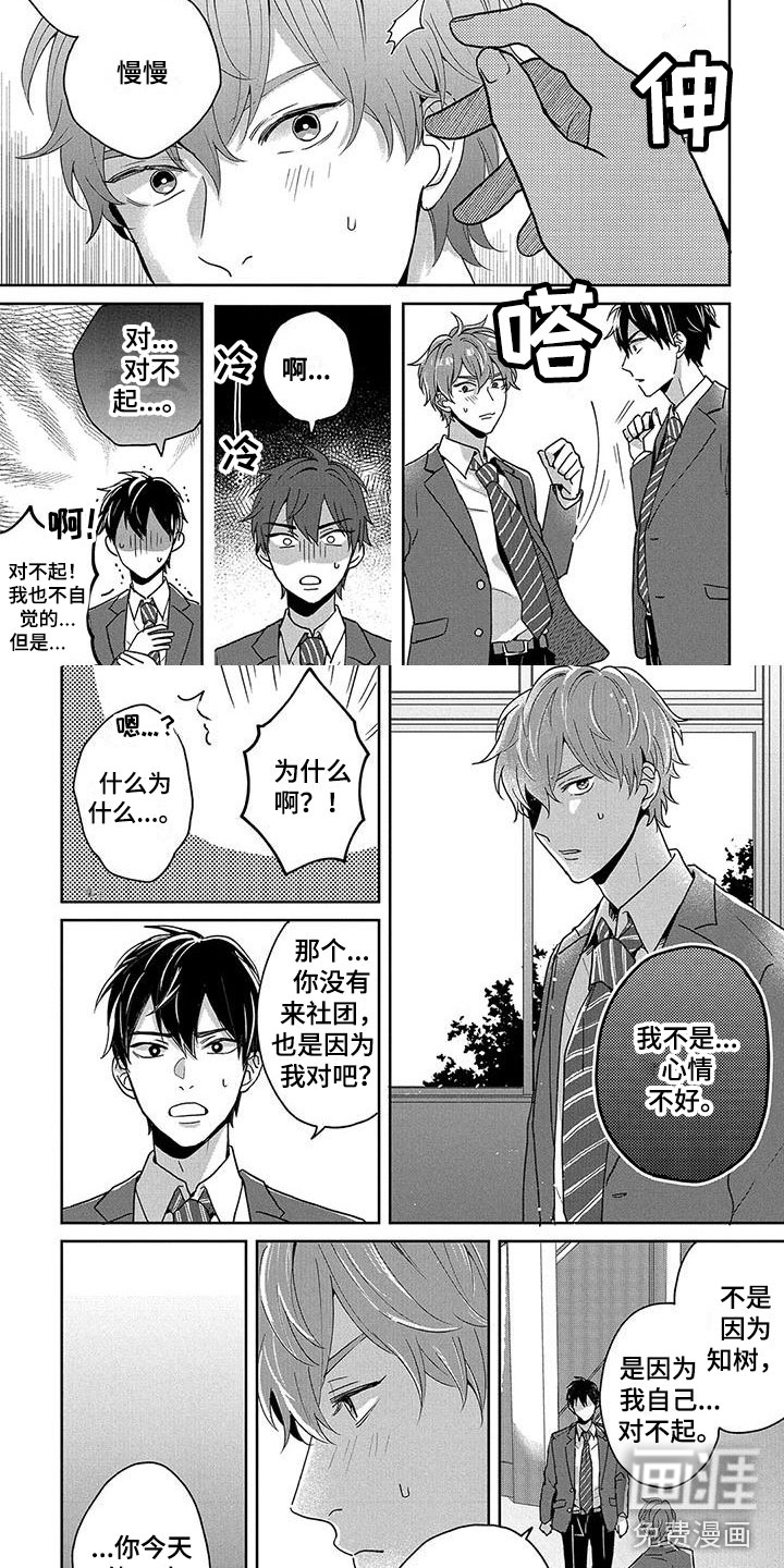 第5话：第5章：当面询问预览分镜