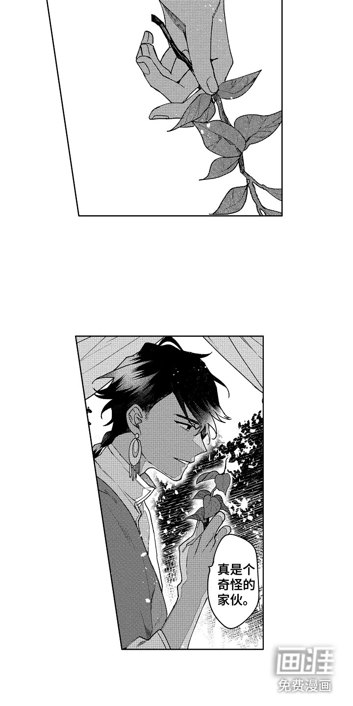 第6话：第6章：又来了预览分镜