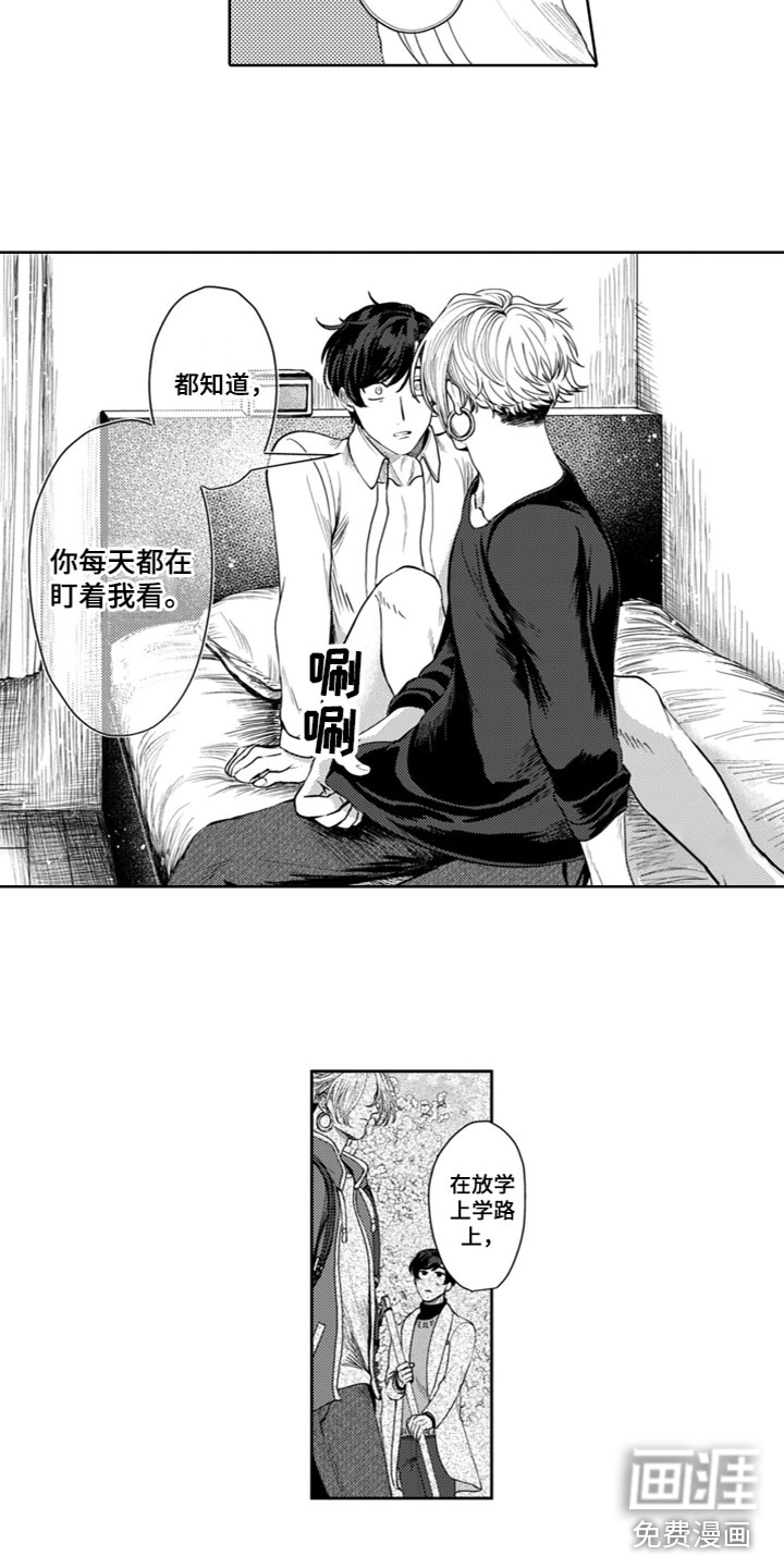 第8话：第8章：交往吗？预览分镜