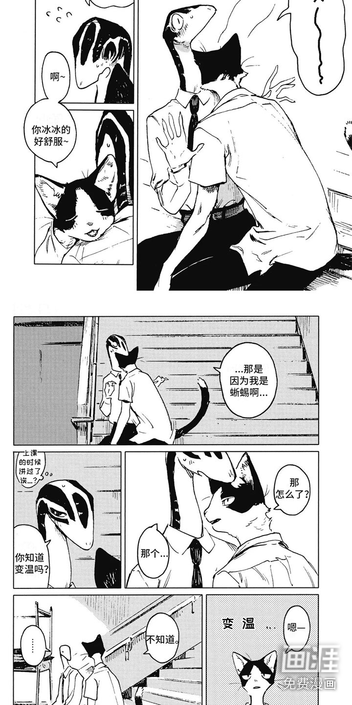 第8话：第8章：变温预览分镜