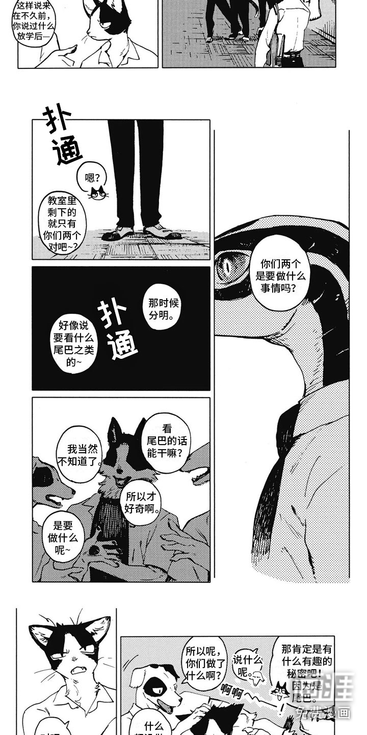 第14话：第14章：好奇预览分镜