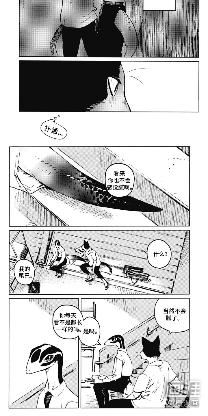 第16话：第16章：能相信吗？预览分镜