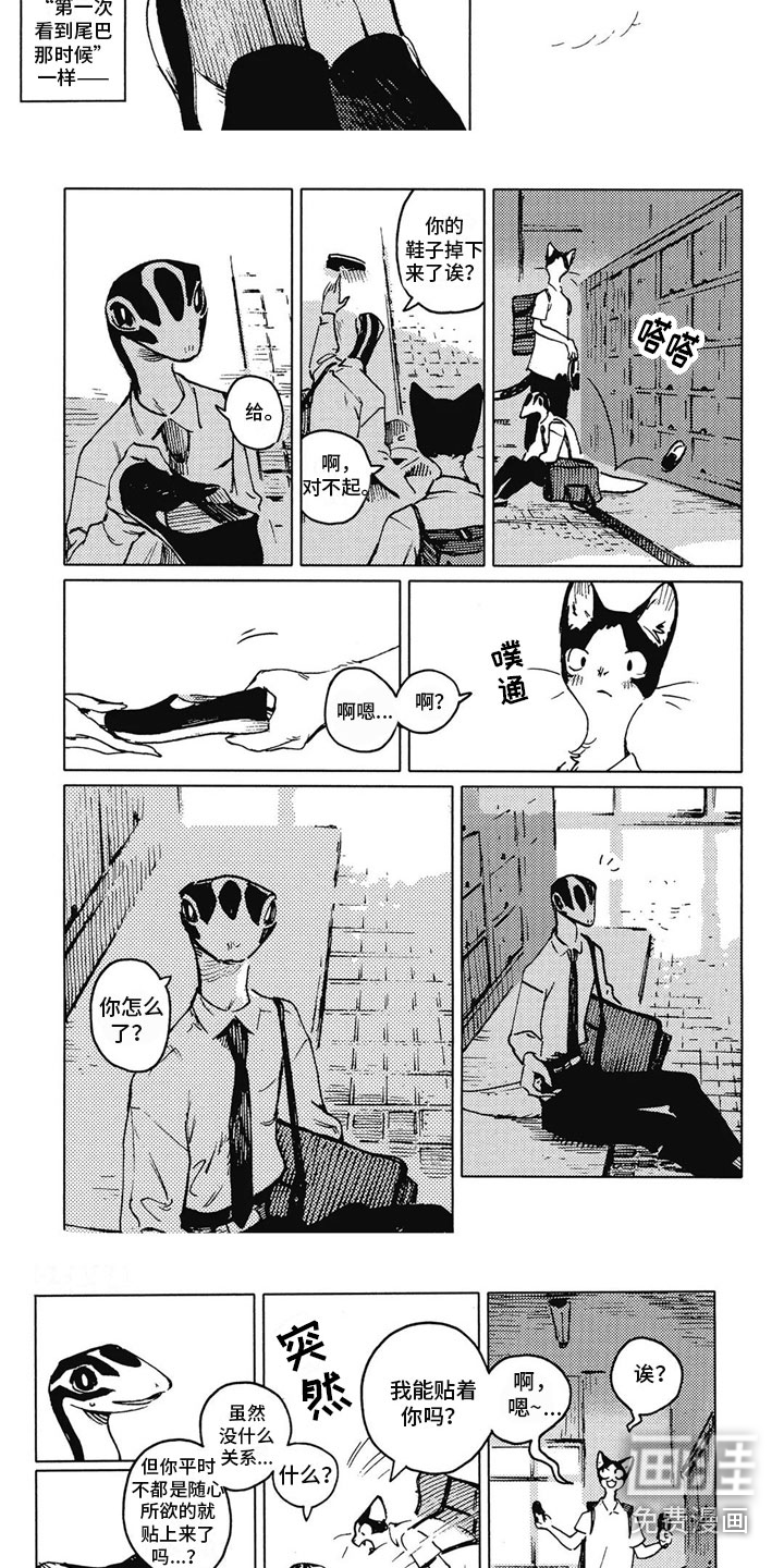 第17话：第17章：很在意预览分镜