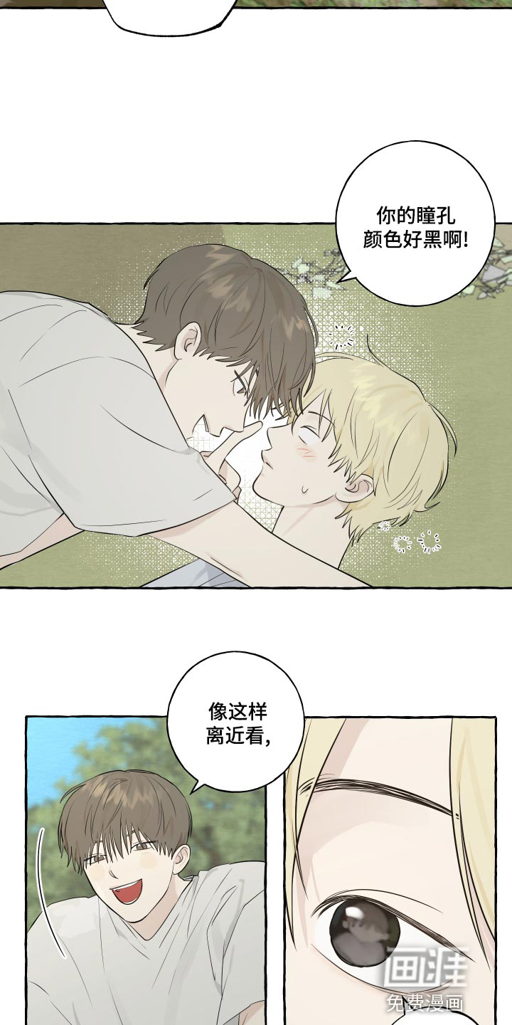 第14话：第14章：实现愿望预览分镜