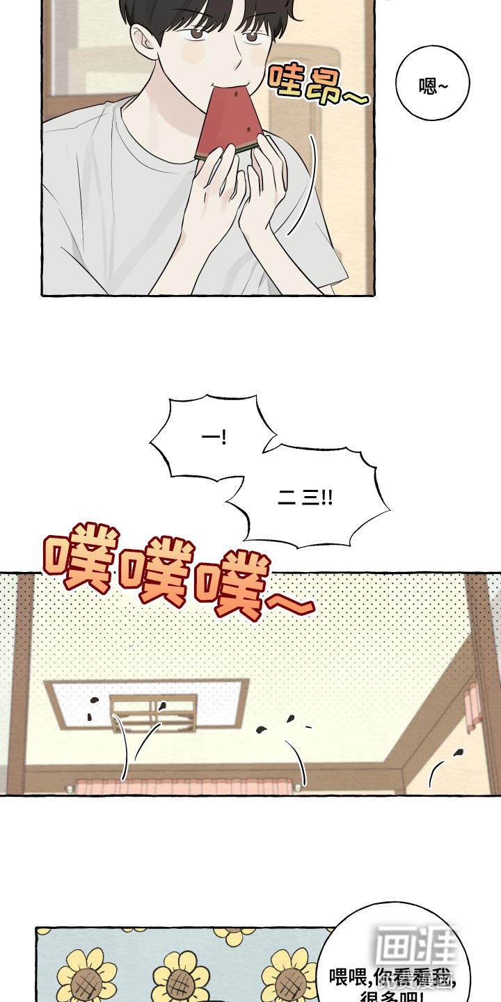 第17话：第17章：吐西瓜籽预览分镜