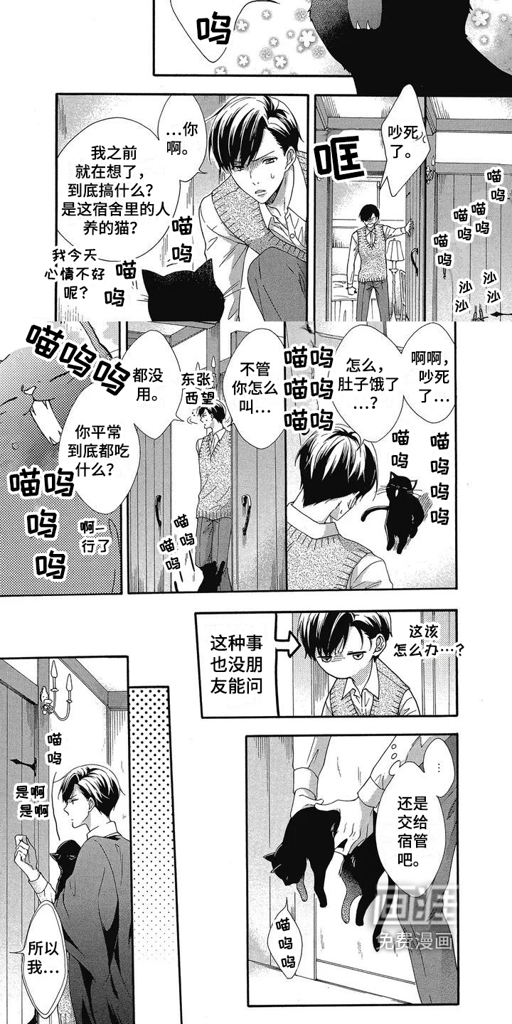 第7话：第7章：理由预览分镜