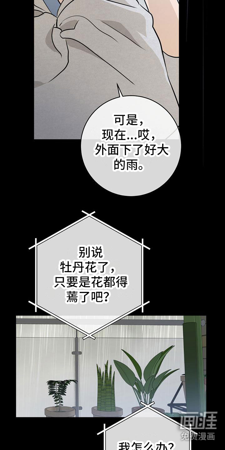 第15话：第15章：为什么预览分镜