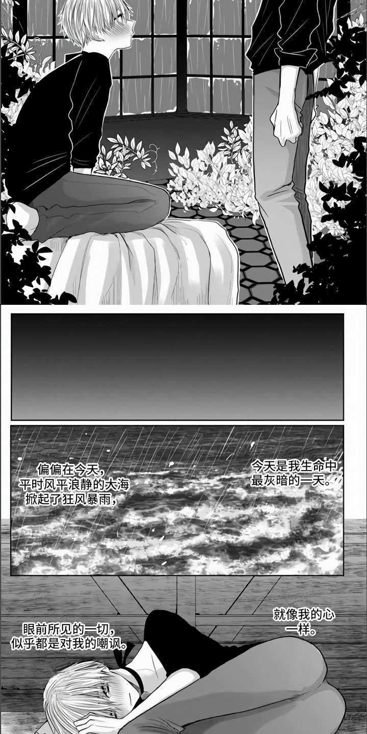 第1话：第1章：狂风暴雨的开始预览分镜
