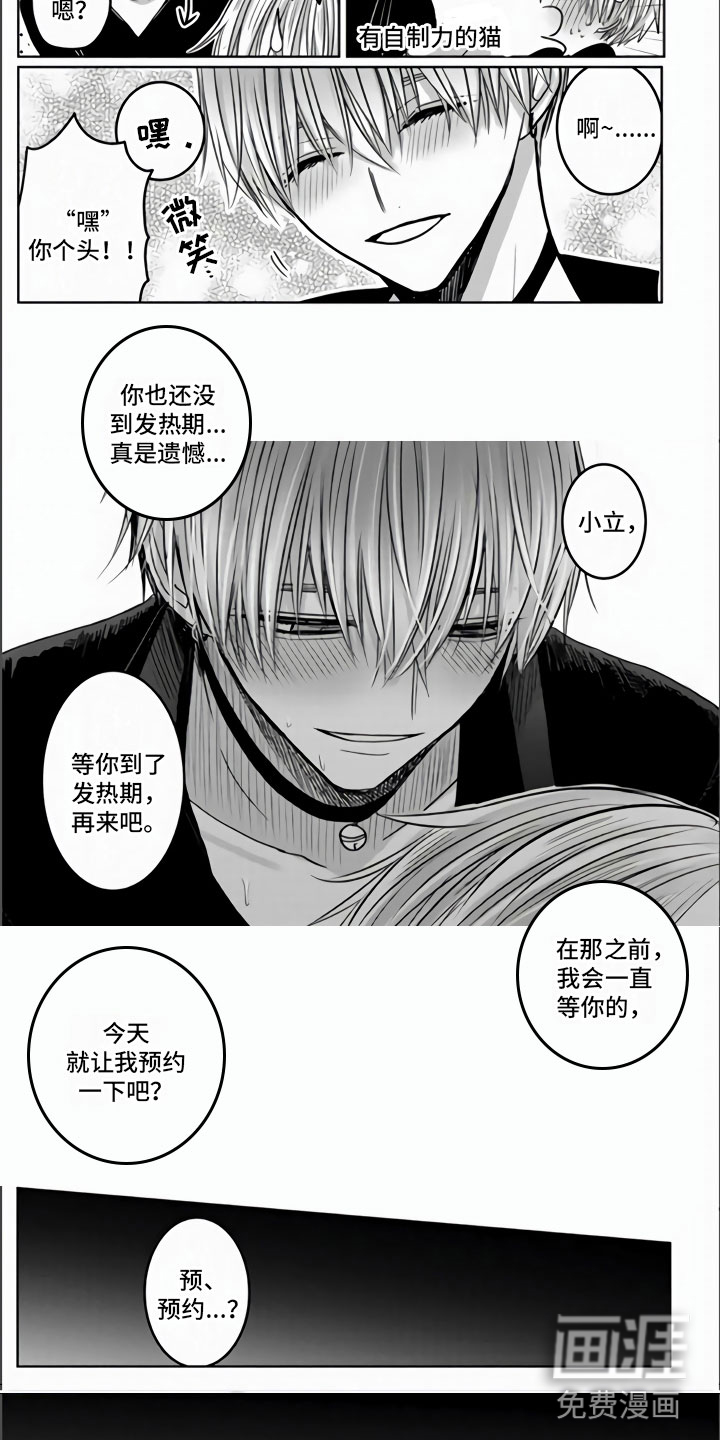 第5话：第5章：全世界最喜欢预览分镜