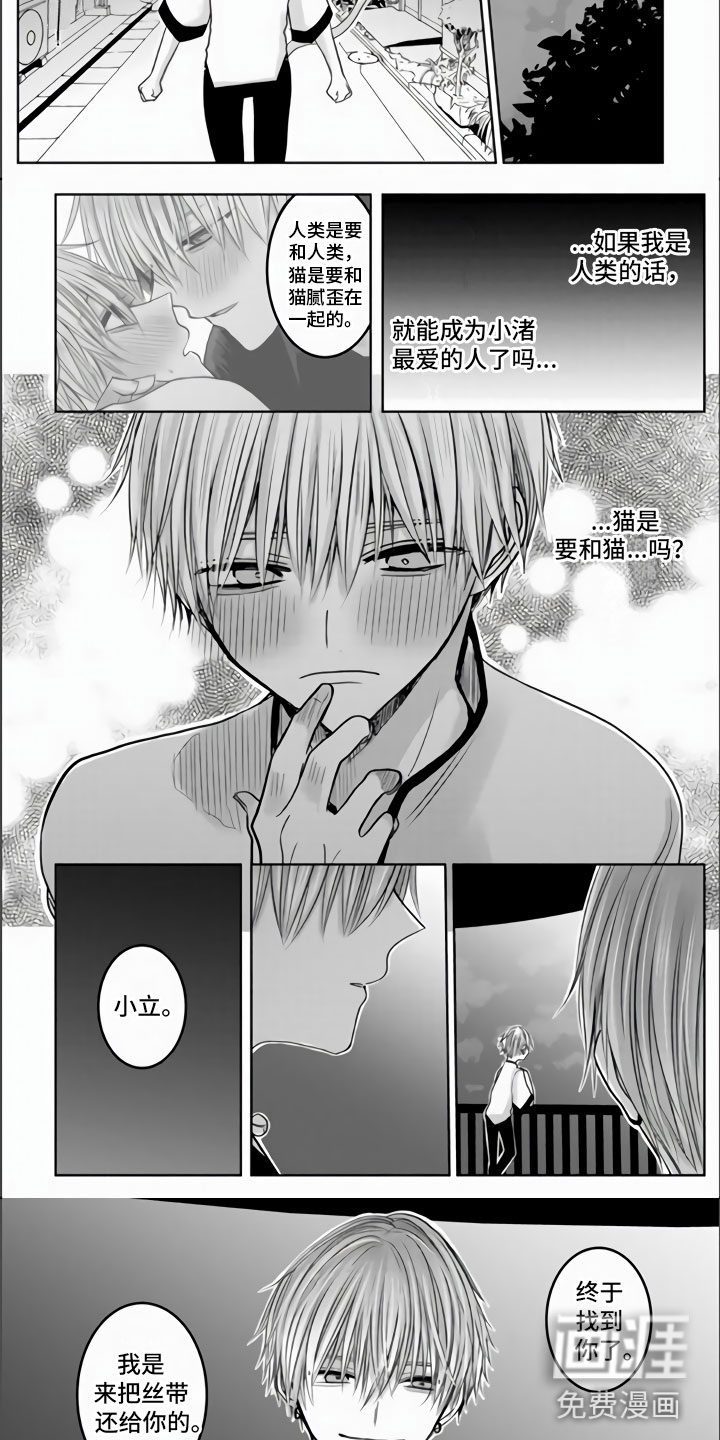 第7话：第7章：心跳加速预览分镜