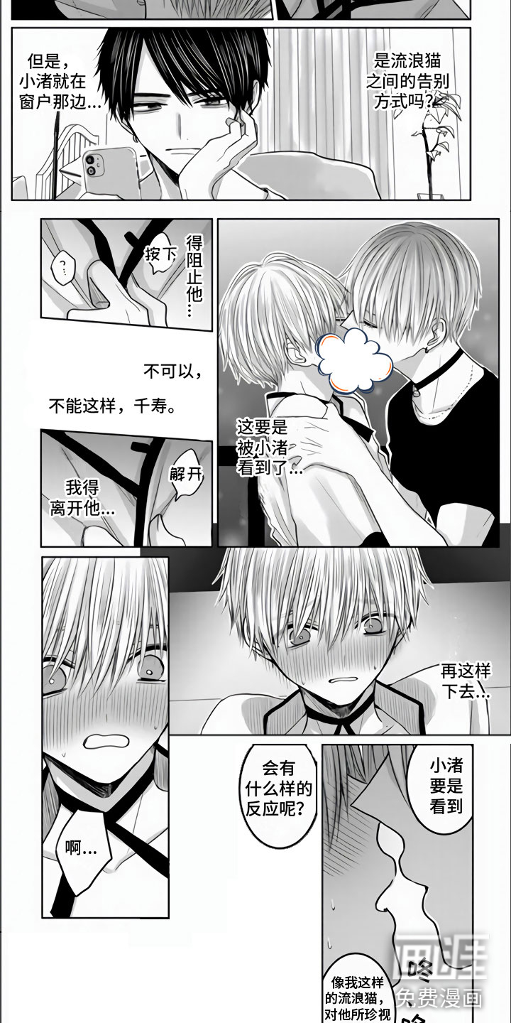 第9话：第9章：把你夺走了预览分镜