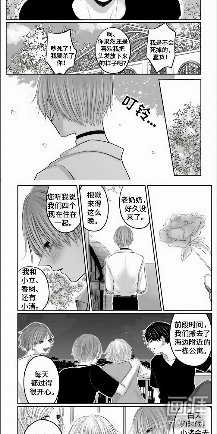 我们的相遇(完结)