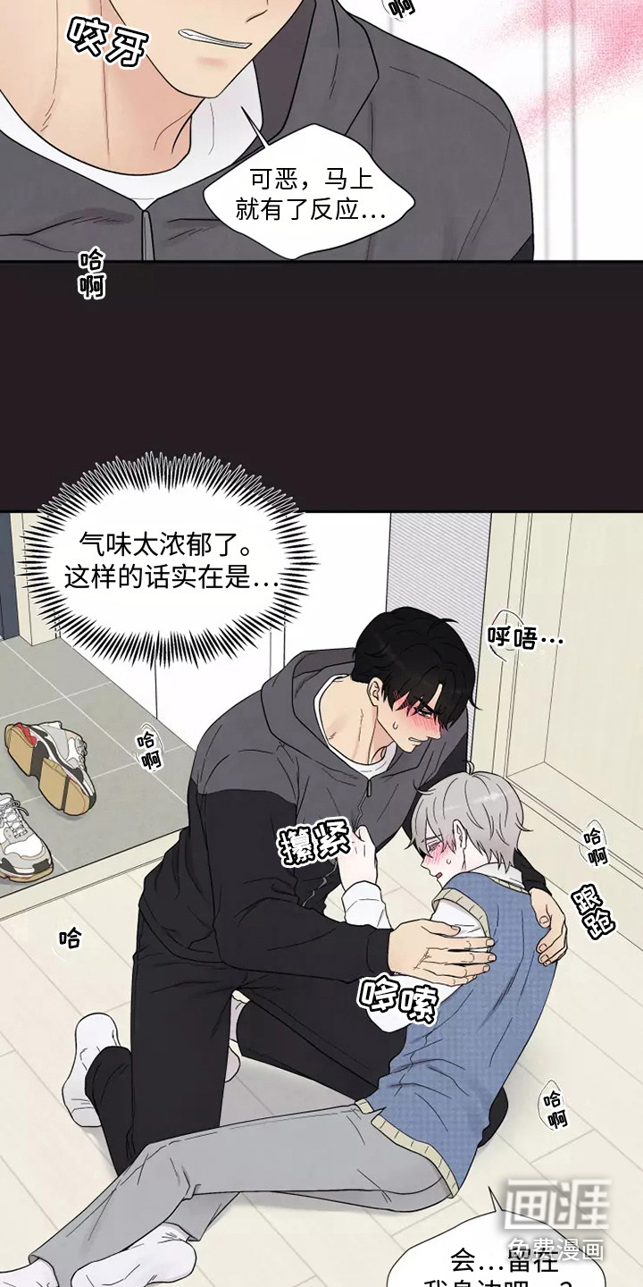 第10话：第10章：难以置信预览分镜