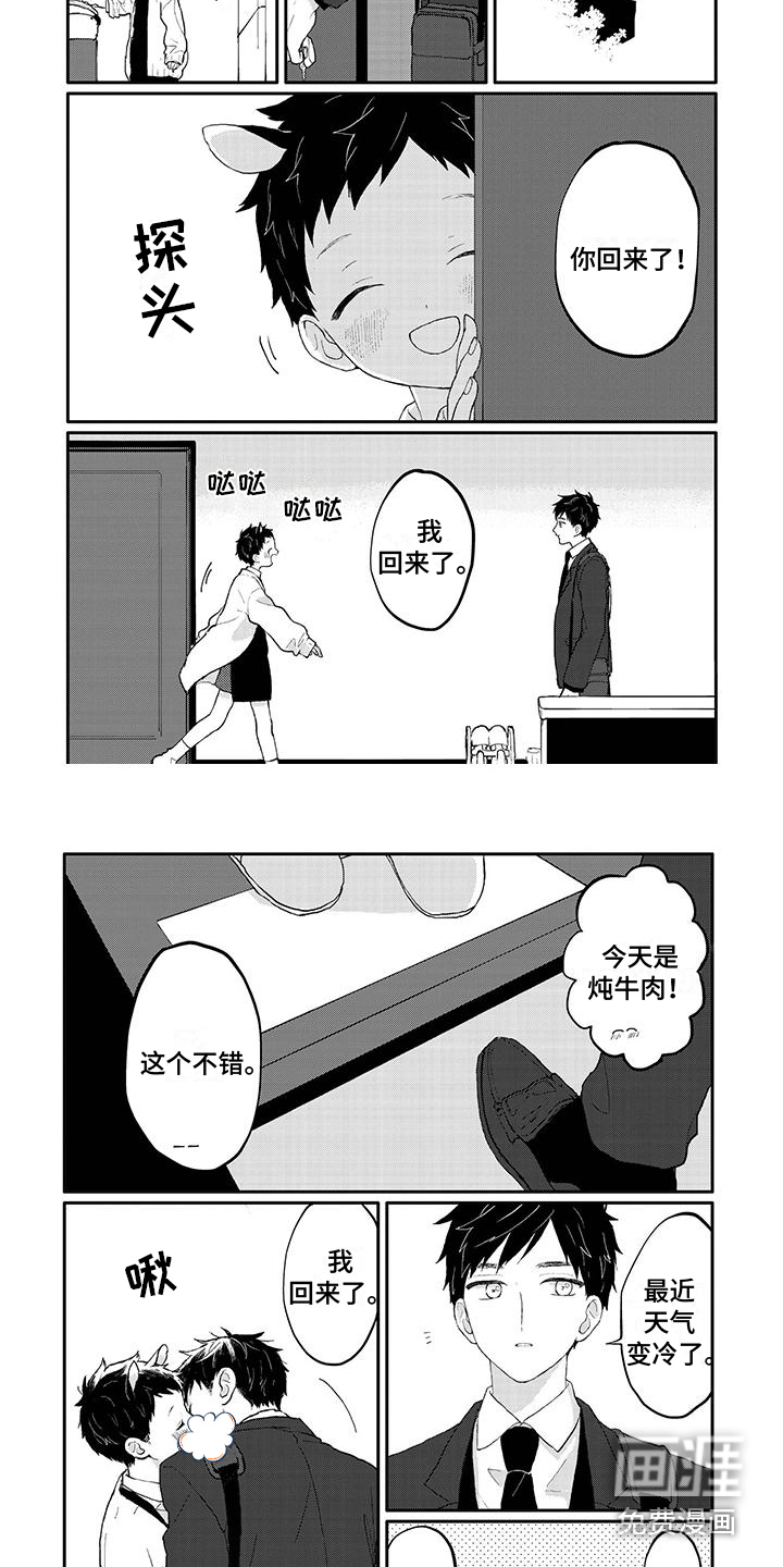 请多关照(完结)
