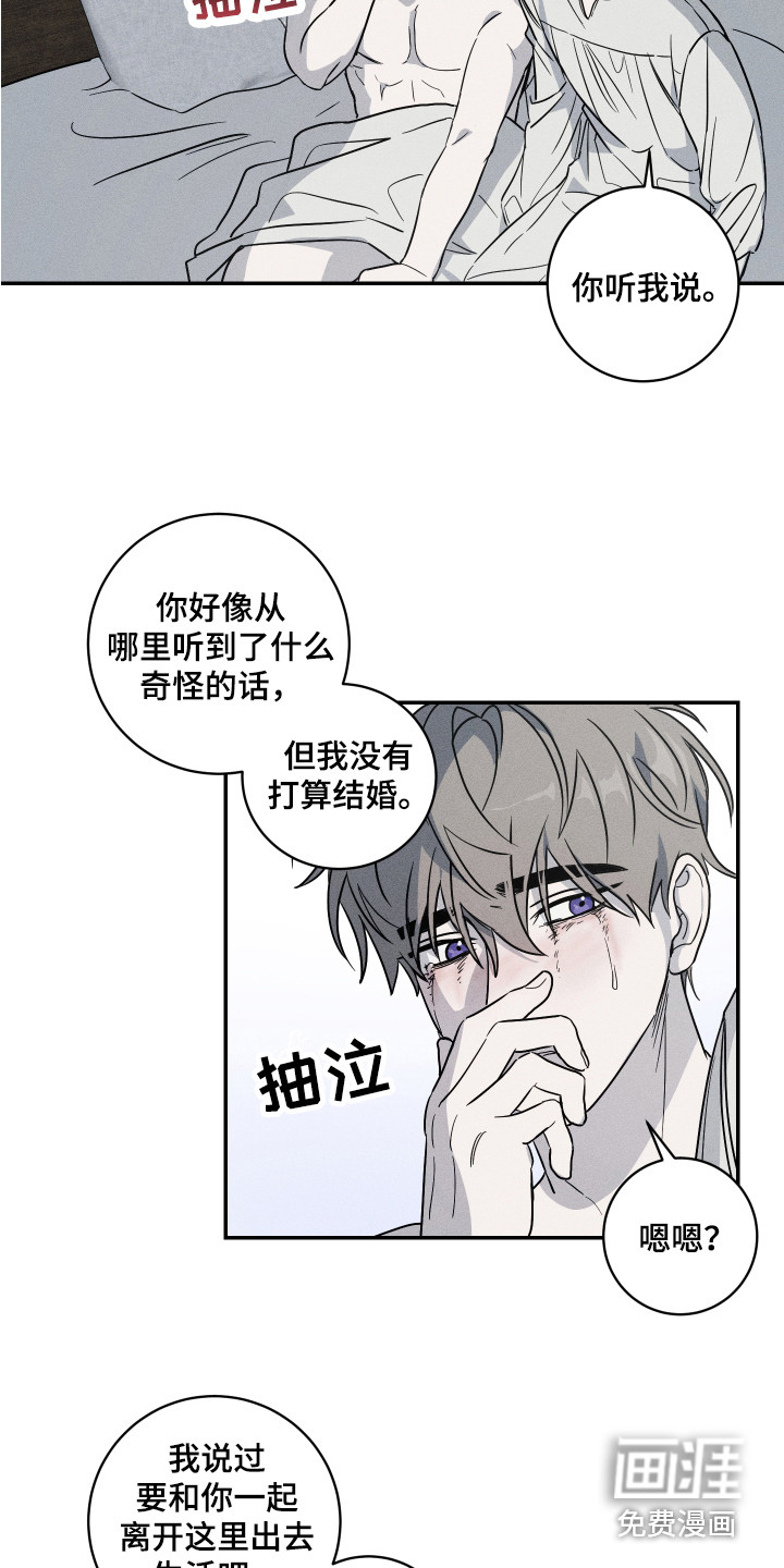 第8话：第8章：解释预览分镜
