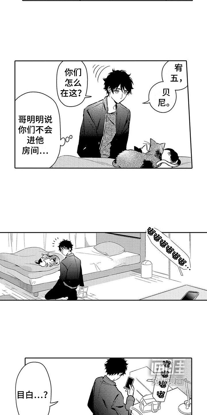 第14话：第14章：电话预览分镜