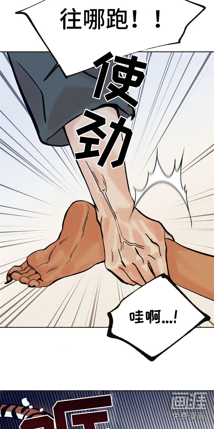 第8话：第8章：误认预览分镜