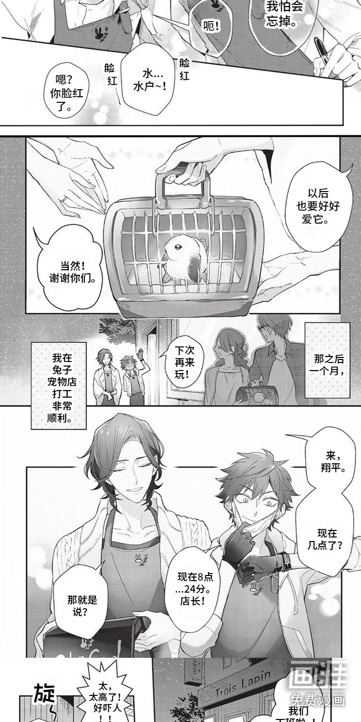 第6话：第6章：好幸福预览分镜