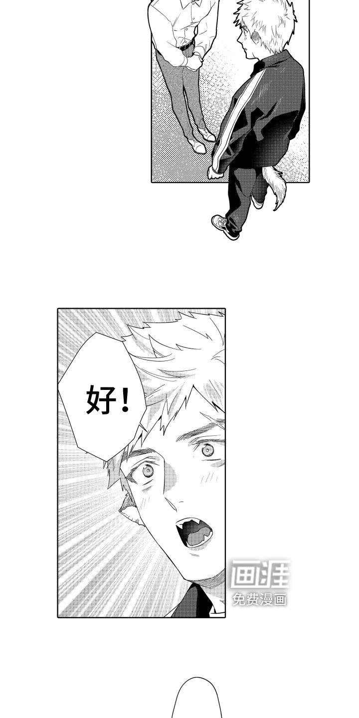 第17话：第17章：照顾预览分镜